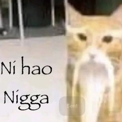 9pyntz - cajun fries w rxwugga(aromat)