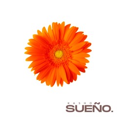Sueño (Afro House) - KASHO ft. Fonseca *DOWNLOAD LINK*