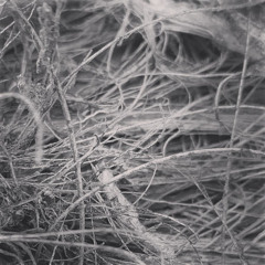 Arguing With Infinity