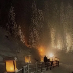 taylor swift tour {p. ydustin}