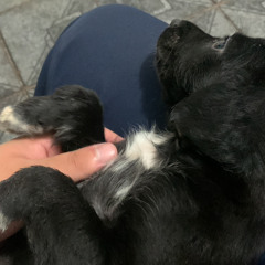 Murica - Procissão feat Peres (prod BEATDOMK).mp3