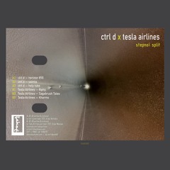 ctrl d x Tesla Airlines - Stepnoï Split, 2021, PREVIEW(Out Now on TAKOE records)