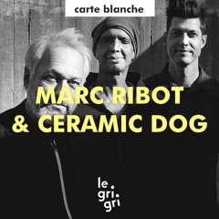 Carte Blanche à Marc Ribot's Ceramic Dog