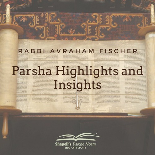 Parsha Highlights and Insights - Tetzaveh