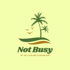 Not Busy (feat. Dr'J 483 & Qiiba Owl Gank)