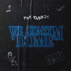 Ve starym dome