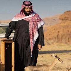 المها والريم ، محمد عبده