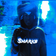 Sharks prod 99LA & Aruni