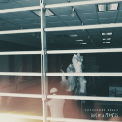 Dead Malls (feat. Cathedral Bells)