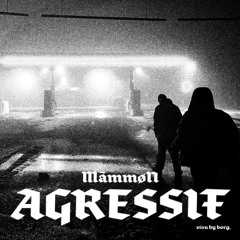 MammoN - Agressif #1