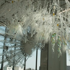 A Bloom (for Amatria)