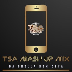 TSA MASH UP MIX (Remixes From Notable Songs)
