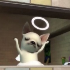 i(dont)know-lilbesh ramko/cover.3enthol