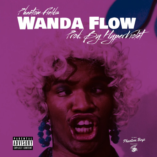 Wanda Flow (Prod. By Vikaden)