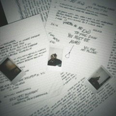 Noah's Songs