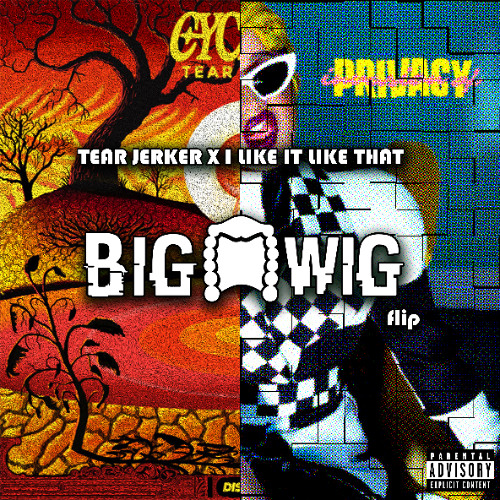 Tear Jerker X I Like It Like That ( The Big Wig Flip)