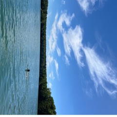 Swing Eazy May 24 Ambient let's go swimming mix