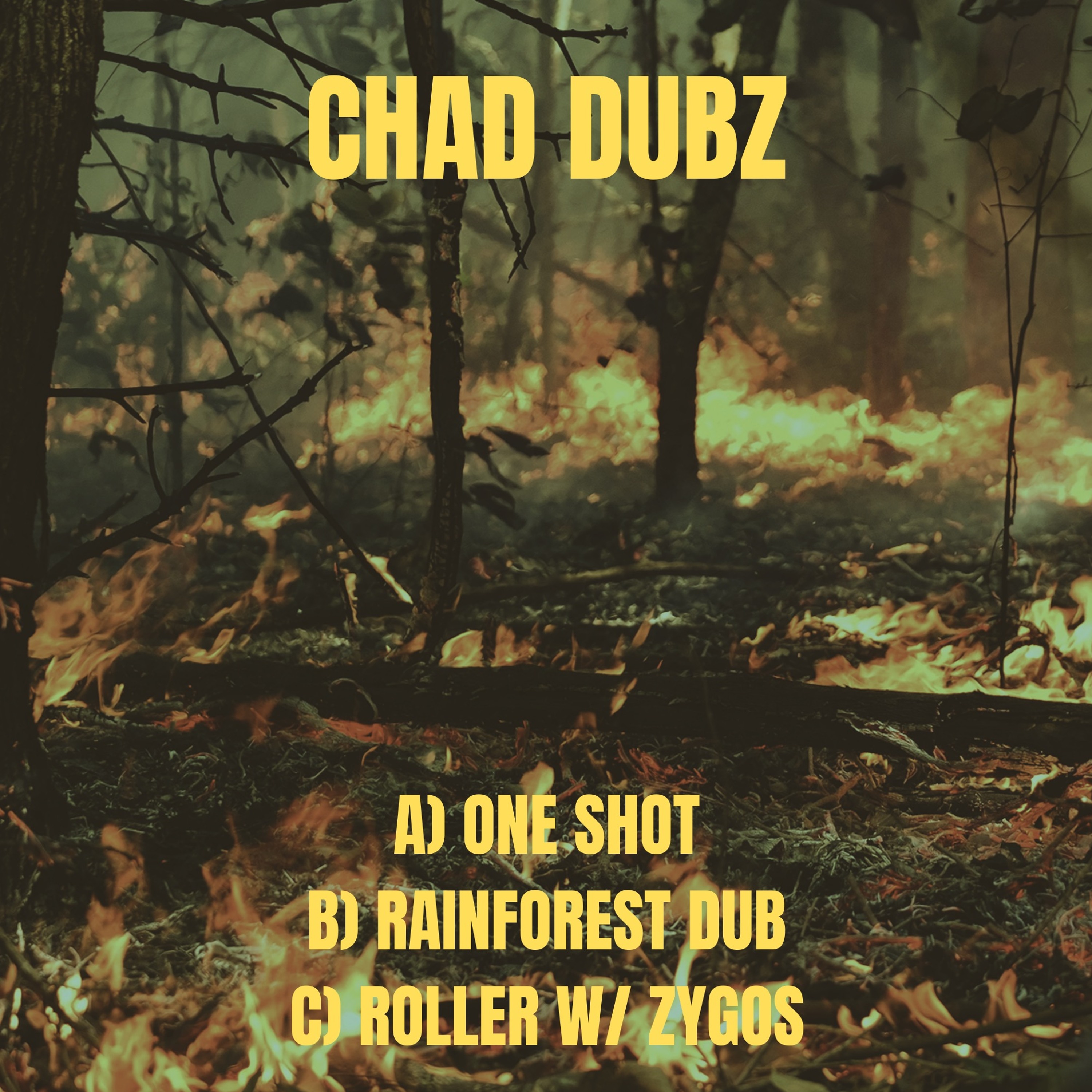 Chad Dubz & Zygos - Roller [Elemental Arts Premiere] episode artwork