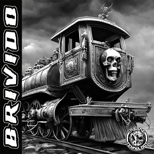 BRIVIDO (VINYL OUT SOON)