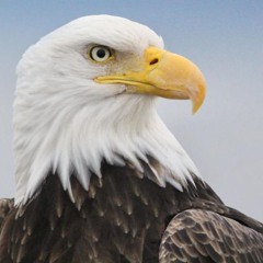 These Backwoods Don't Lie (Chopped & Screwed)