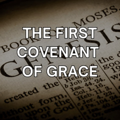 December 7th, 2025 | The First Covenant of Grace | Genesis 3:15 | Pastor Daniel