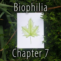 Biophilia - Chapter 7