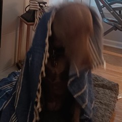 dire dire docks waterflow.mp3