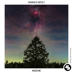 Danilo Seclì - Noche