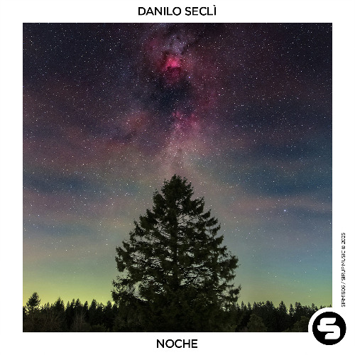 Danilo Seclì - Noche