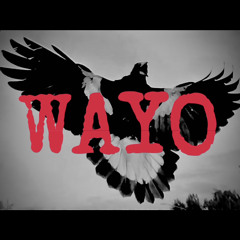 WAYO [unofficial-leaked]