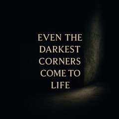 Even the darkest corners come to life