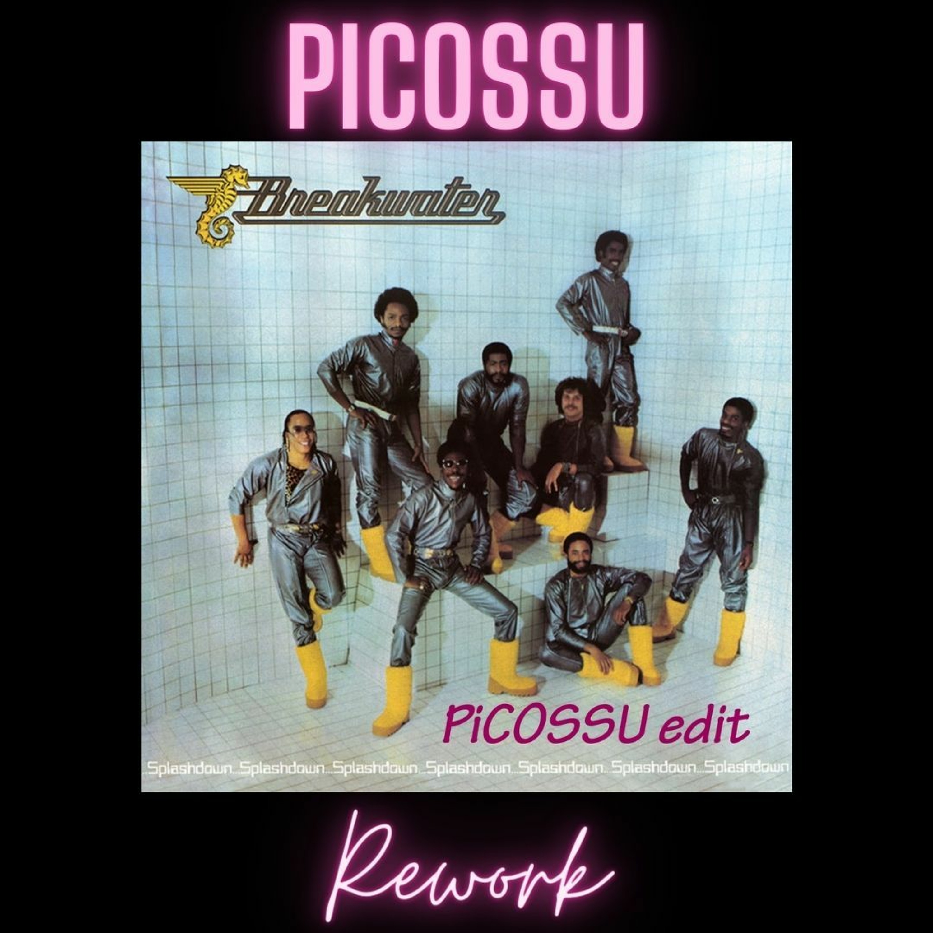 PiCOSSU