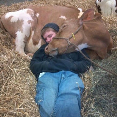 as i lay dying (demo)