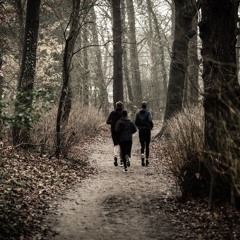 Running Past Trees