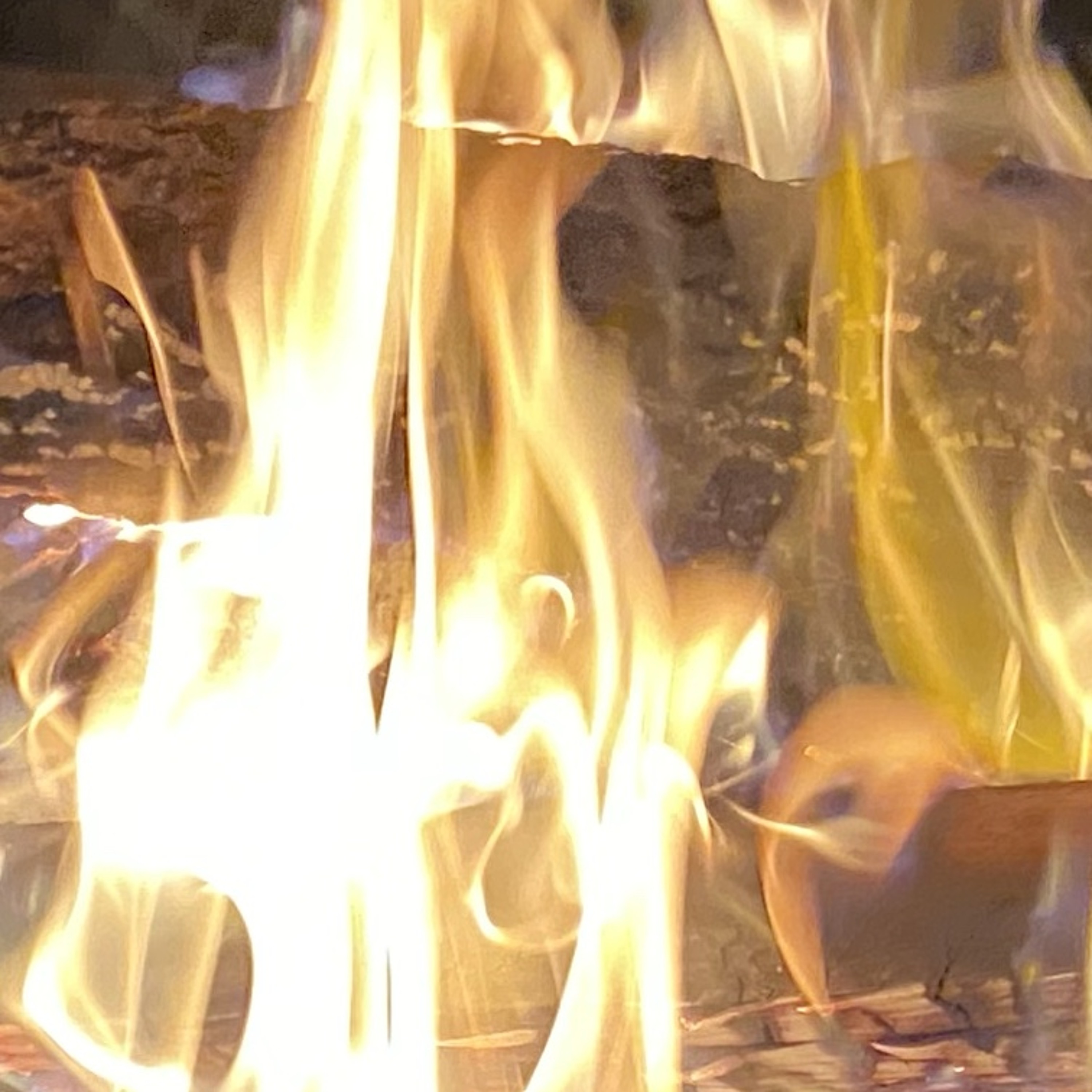 bounded by the retrogrades