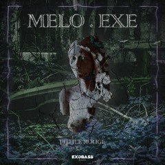 PILULE ROUGE - MELO.EXE [EXO-40]