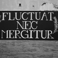 Fluctuat Nec Mergitur