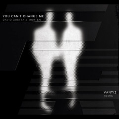 ++ FREE DL: David Guetta & MORTEN, Vantiz  - You Can't Change Me   [MDM005]