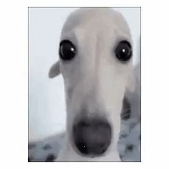 zg7[[𝚋𝚞𝚗𝚐𝚎𝚎]]