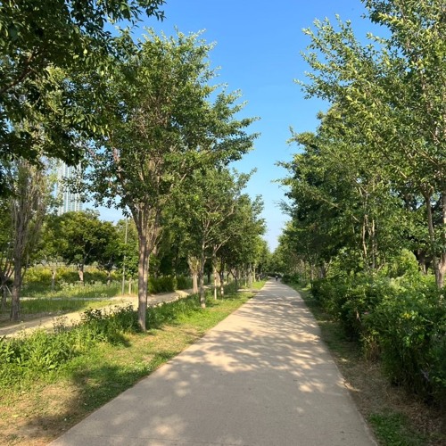 상쾌한 상수동의 아침. (오전 11시에 듣는 시티 가요 믹스) korean mix_mixset