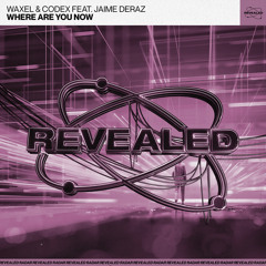 Where Are You Now (feat. Jaime Deraz)