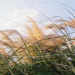 Cô đơn không tốt - Tào Cách (Gary Chaw) |【寂寞寂寞不好 - 曹格 Gary Chaw