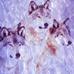 animal (prod alice66)