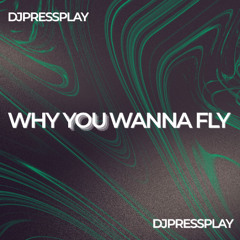 WHY YOU WANNA FLY
