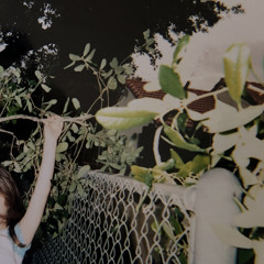 Velvet - father figure