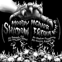 PREMIERE: Moody Mcivor - Shadow Frequencies [Nerang Recordings]