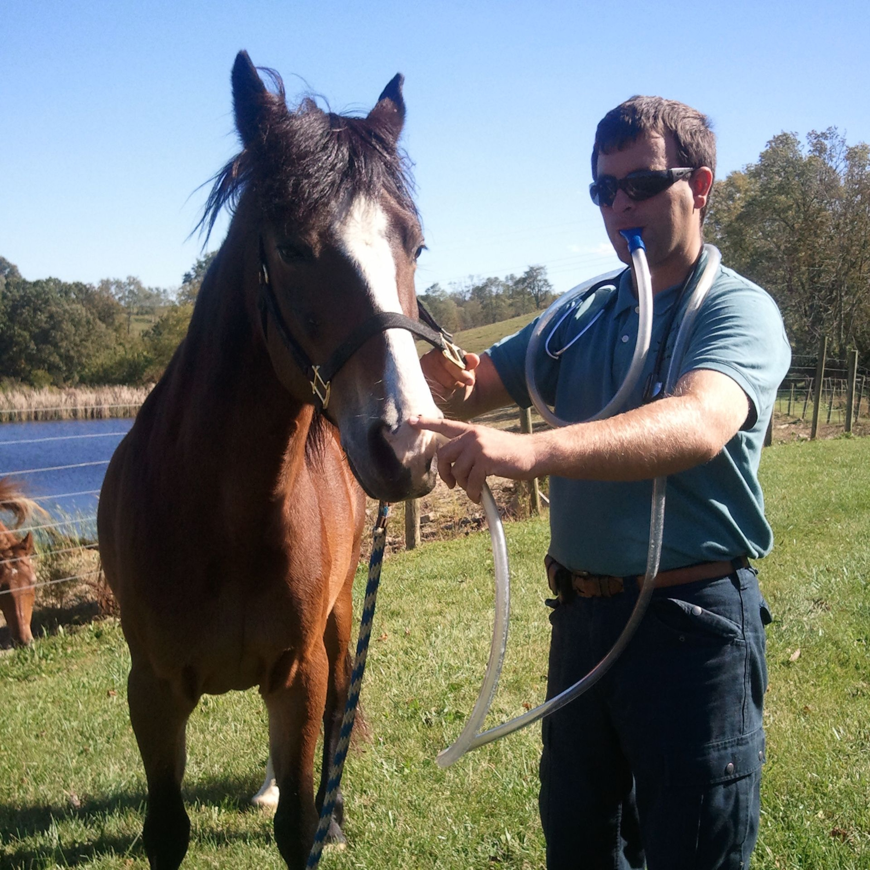 Vet Talk the Veterinary Podcast