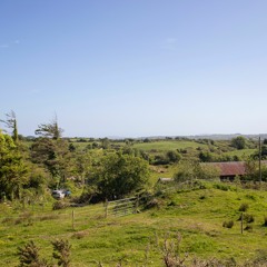 Morning soundscape west cork