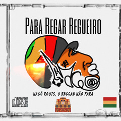 Para regar regueiro
