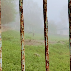 سرگردون-سیاوش قمیشی